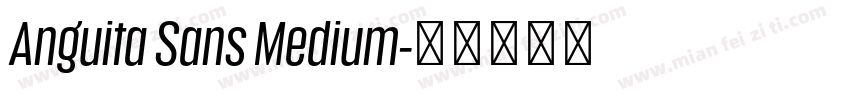 Anguita Sans Medium字体转换